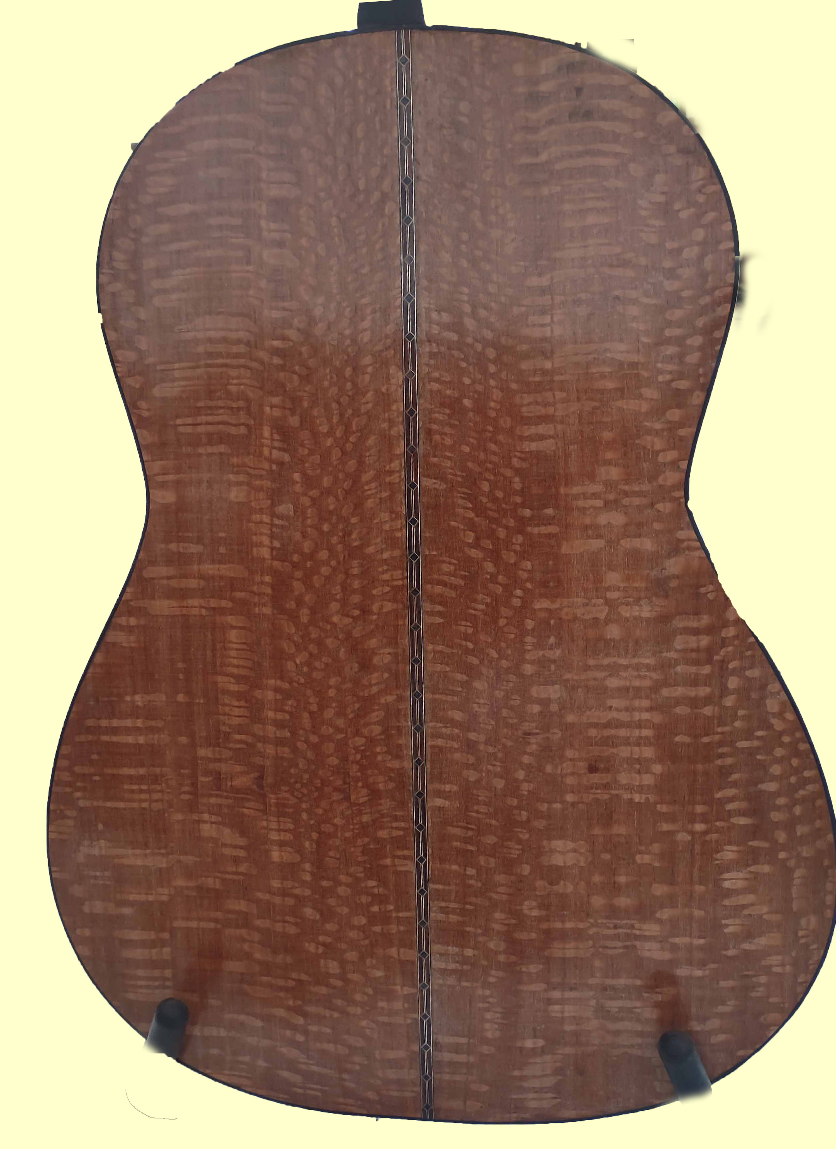 thompson22 back